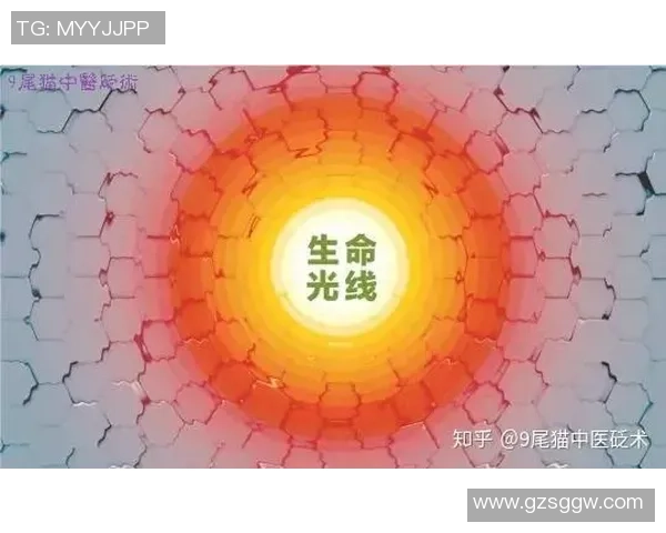 孕妇梦见足球的寓意解析及其对未来的影响探讨